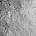 FC21B0004118_11224132438F6F.jpg