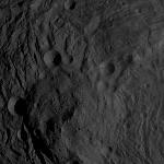 FC21B0004320_11224191449F2F.jpg