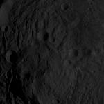 FC21B0004342_11224193200F8F.jpg