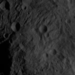 FC21B0004374_11224200504F8F.jpg