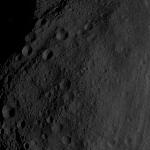 FC21B0005601_11232155448F2B.jpg