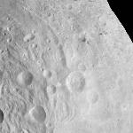 FC21B0006528_11238223817F1B.jpg