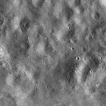 FC21B0014335_11352082638F1I.jpg