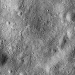 FC21B0014342_11352083523F1I.jpg