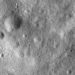 FC21B0014343_11352083639F1I.jpg