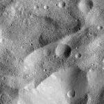 FC21B0014359_11352090408F1I.jpg