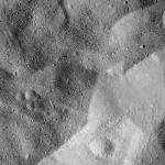 FC21B0014360_11352090653F1I.jpg