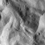 FC21B0014362_11352091223F1I.jpg