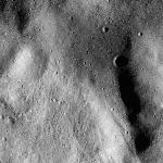 FC21B0014368_11352092853F1I.jpg