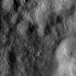 FC21B0014382_11352124043F1I.jpg