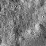FC21B0014450_11352171957F1I.jpg