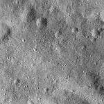 FC21B0014457_11352172842F1I.jpg