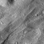 FC21B0014462_11352173457F1I.jpg
