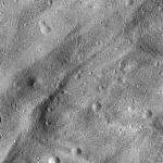 FC21B0014463_11352173612F1I.jpg