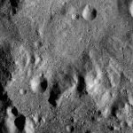 FC21B0014478_11352181256F1I.jpg