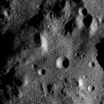 FC21B0014480_11352181826F1I.jpg