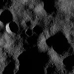 FC21B0014484_11352211033F1I.jpg