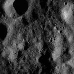 FC21B0014489_11352211918F1I.jpg