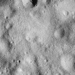 FC21B0014494_11352212803F1I.jpg