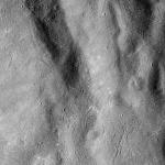 FC21B0014531_11352222749F1I.jpg