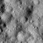 FC21B0014551_11353015552F1I.jpg