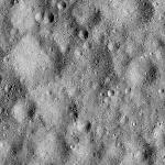 FC21B0014553_11353015822F1I.jpg