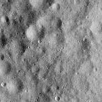 FC21B0014555_11353020052F1I.jpg