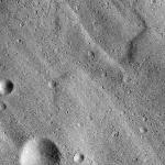 FC21B0014575_11353022552F1I.jpg