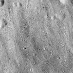 FC21B0014578_11353022938F1I.jpg
