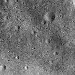 FC21B0014628_11354044843F1I.jpg