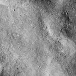 FC21B0014647_11354053158F1I.jpg