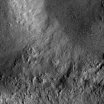 FC21B0014660_11354084101F1I.jpg