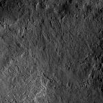 FC21B0014661_11354084246F1I.jpg