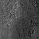 FC21B0014662_11354084430F1I.jpg