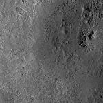 FC21B0014663_11354084545F1I.jpg