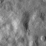 FC21B0014670_11354085430F1I.jpg
