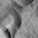 FC21B0014689_11354091816F1I.jpg