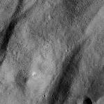 FC21B0014700_11354094701F1I.jpg