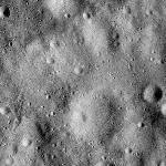 FC21B0014772_11354173043F1I.jpg