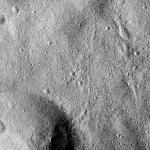FC21B0014775_11354173527F1I.jpg
