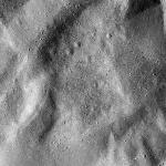 FC21B0014864_11354224832F1I.jpg