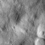 FC21B0014906_11355160121F1I.jpg