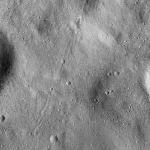 FC21B0014907_11355160236F1I.jpg