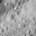 FC21B0015068_11356050921F1I.jpg