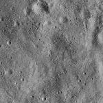 FC21B0015080_11356052421F1I.jpg
