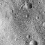 FC21B0015083_11356052936F1I.jpg