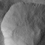 FC21B0015088_11356054322F1I.jpg