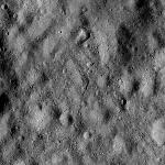 FC21B0015113_11356092129F1I.jpg