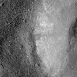 FC21B0015120_11356093014F1I.jpg