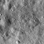 FC21B0015128_11356094014F1I.jpg